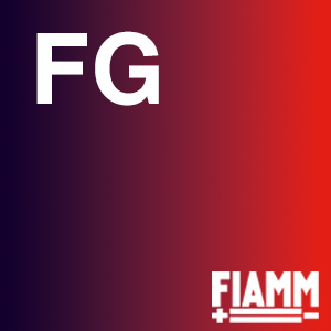 Listini Fiamm Service FG