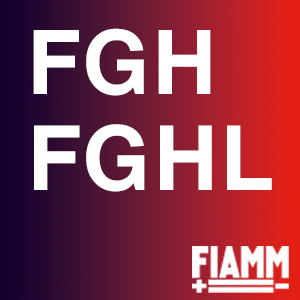 Listini Fiamm Service FGH FGHL